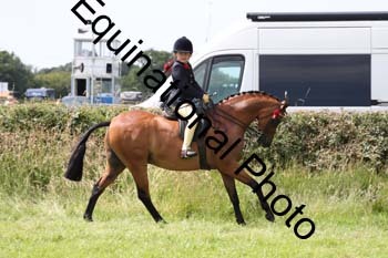 HOQ-1833