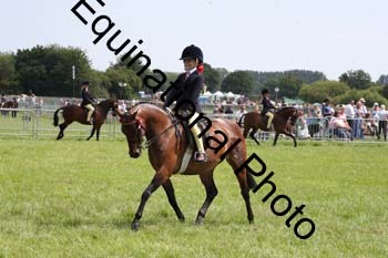 HOQ-1834