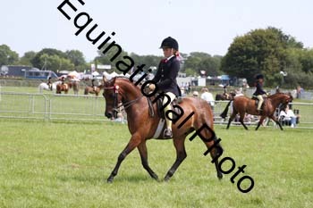 HOQ-1836