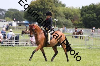HOQ-1837