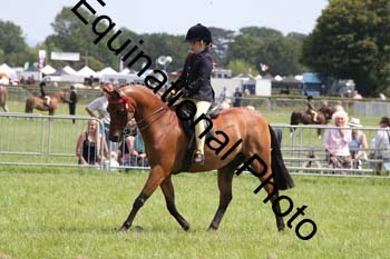 HOQ-1838
