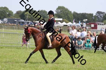 HOQ-1842