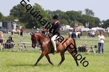 HOQ-1843