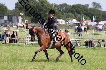HOQ-1845