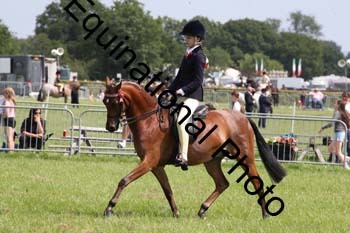 HOQ-1846