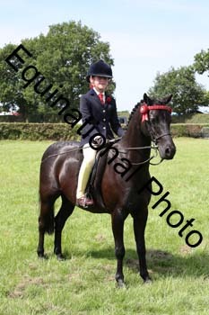 HOQ-1900
