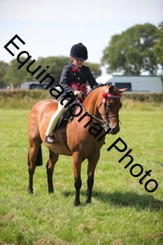 HOQ-1918