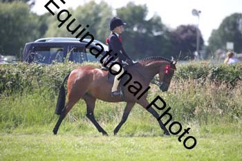 HOQ-1938