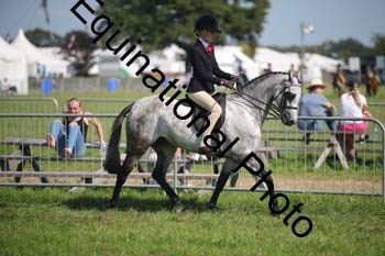 HOQ-2003