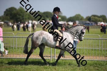HOQ-2004