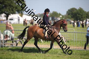 HOQ-2008