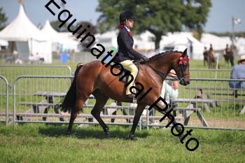 HOQ-2010