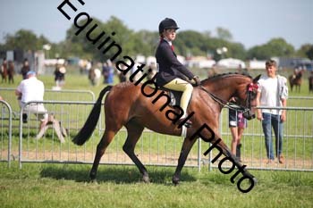 HOQ-2011