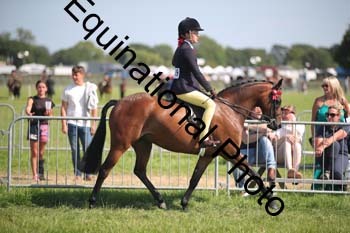 HOQ-2012
