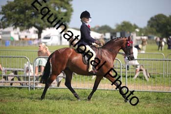 HOQ-2013