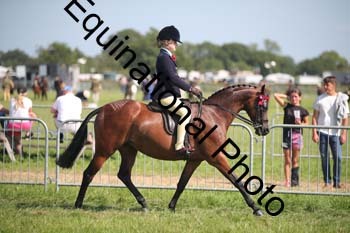 HOQ-2014