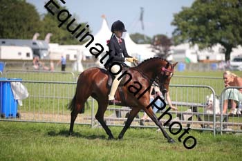 HOQ-2015