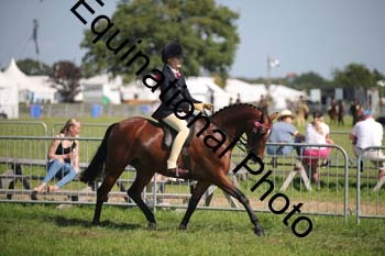HOQ-2016