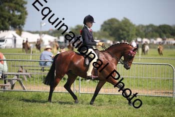 HOQ-2017