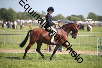 HOQ-2018