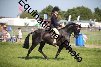 HOQ-2019