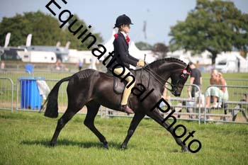 HOQ-2020