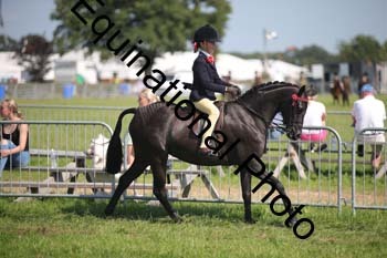 HOQ-2026