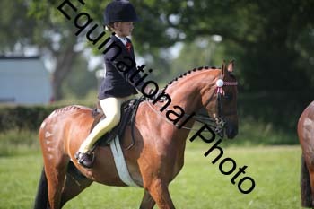 HOQ-2030
