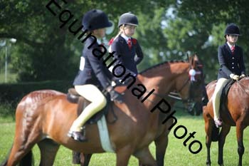 HOQ-2032