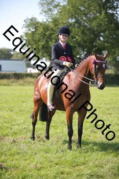 HOQ-2048