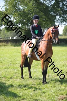 HOQ-2067