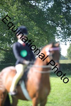 HOQ-2068