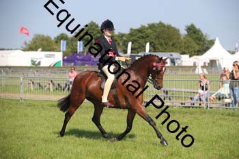 HOQ-2088