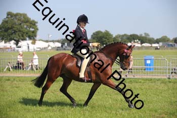 HOQ-2089