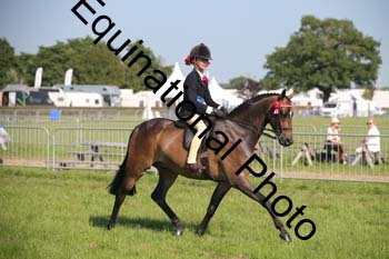 HOQ-2093