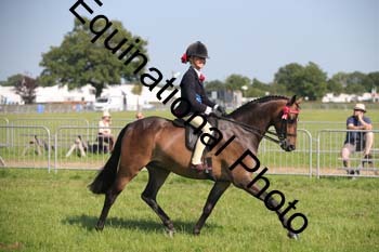 HOQ-2094