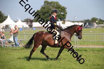HOQ-2095