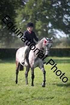 HOQ-2177