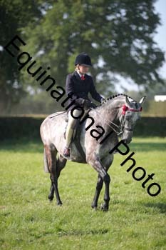 HOQ-2178