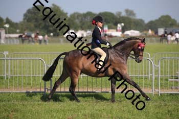 HOQ-2264