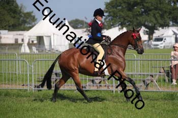 HOQ-2265