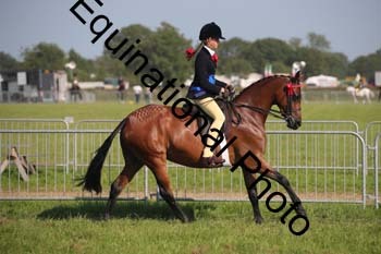 HOQ-2266