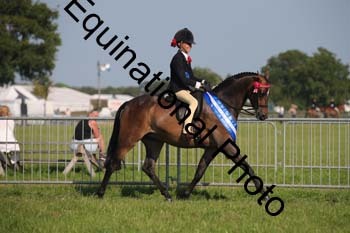 HOQ-2314