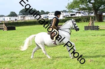 JSJ-1008