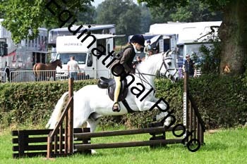 JSJ-1041