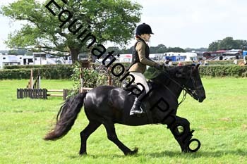 JSJ-1093