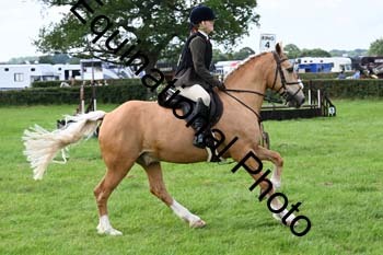 JSJ-1107