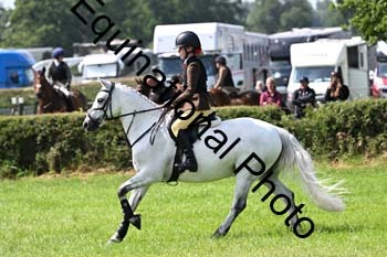 JSJ-1179