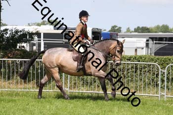 MCD-1373