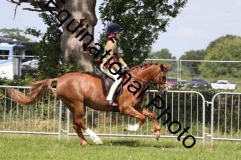 MCD-1376